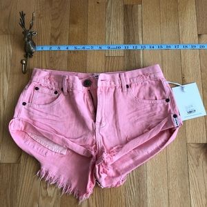 One Teaspoon Bandits denim shorts. Low rise.